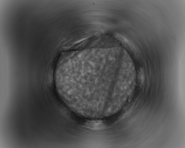 X0000094220554200711161851