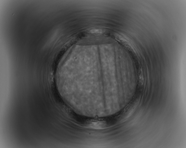 X0000094220555200711161851