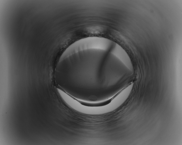 X0000094220559200711161851