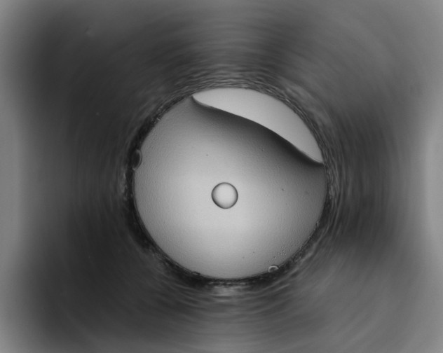 X0000094220560200711161851