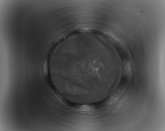 X0000094220562200711161851