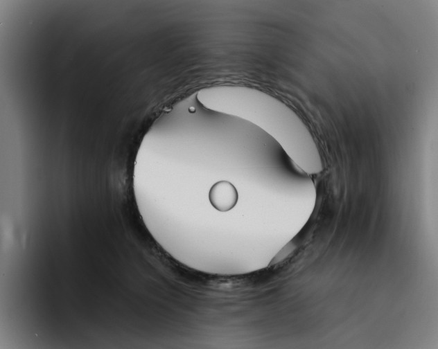 X0000094220564200711161851