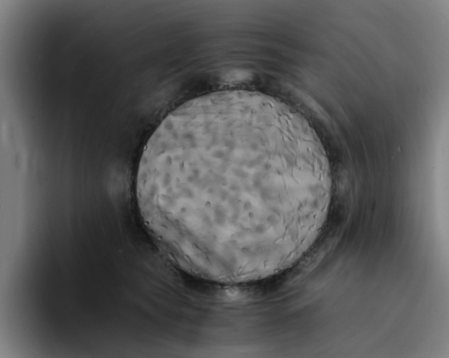 X0000094220565200711161851