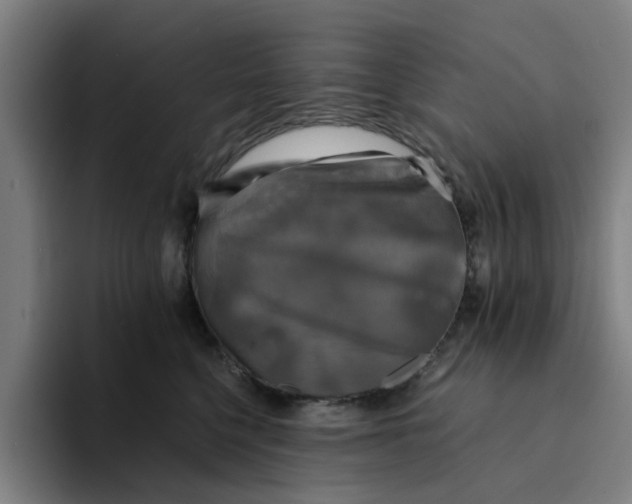 X0000094220568200711161851