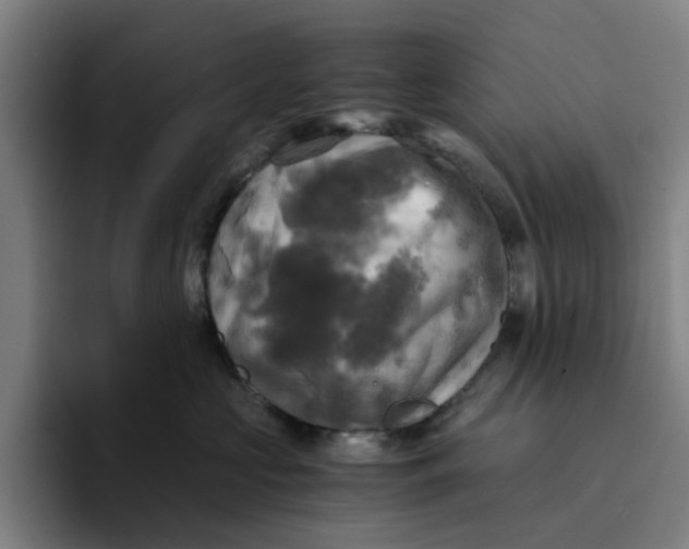 X0000094220573200711161851