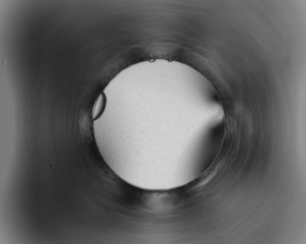 X0000094220575200711161851