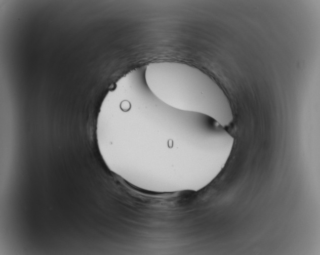 X0000094220576200711161851