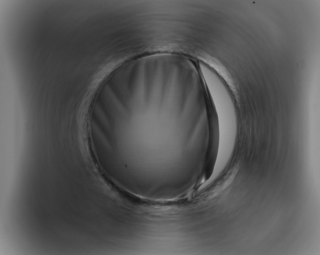 X0000094220577200711161851