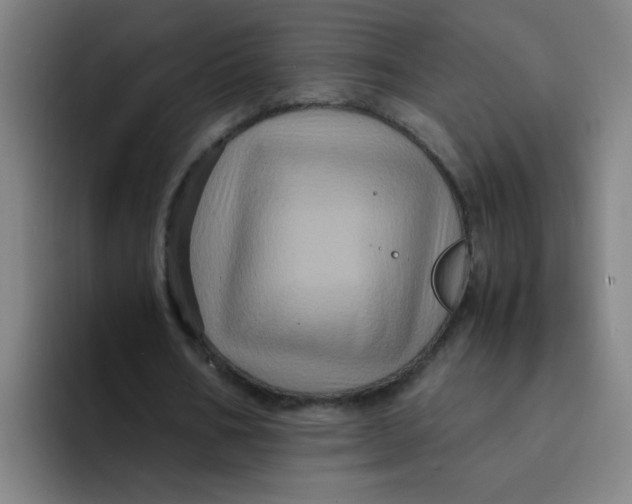 X0000094220578200711161851