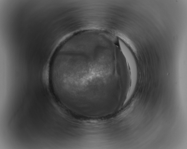 X0000094220580200711161850