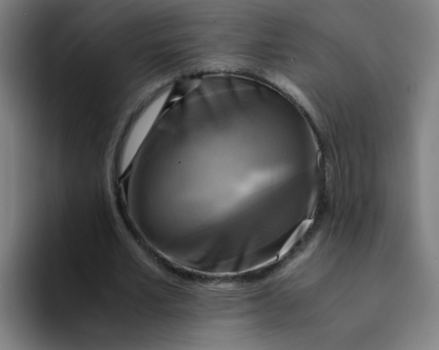 X0000094220581200711161850