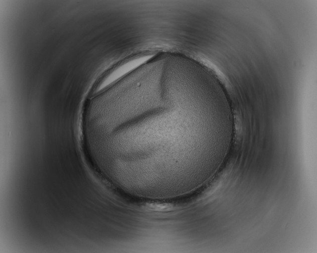 X0000094220582200711161850