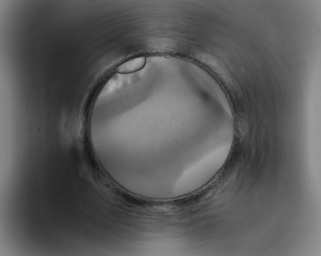 X0000094220583200711161850