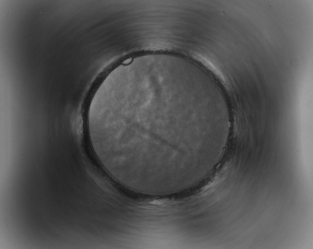 X0000094220584200711161850