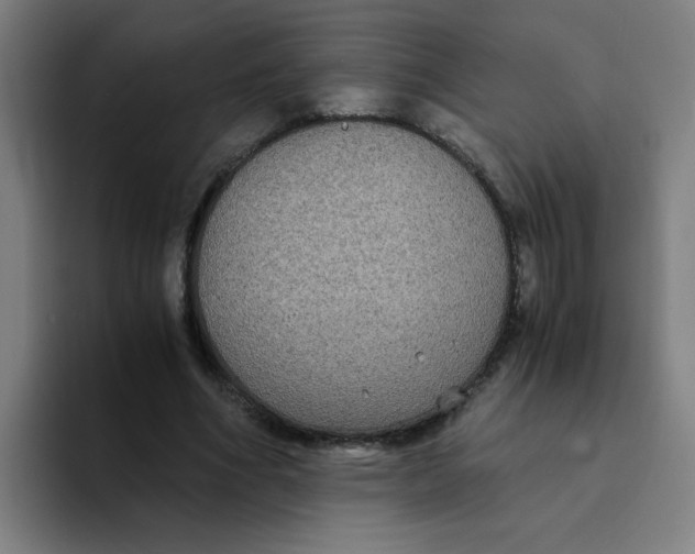 X0000094220586200711161850