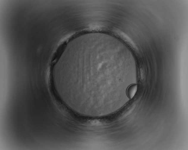 X0000094220588200711161850