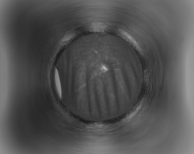 X0000094220589200711161850