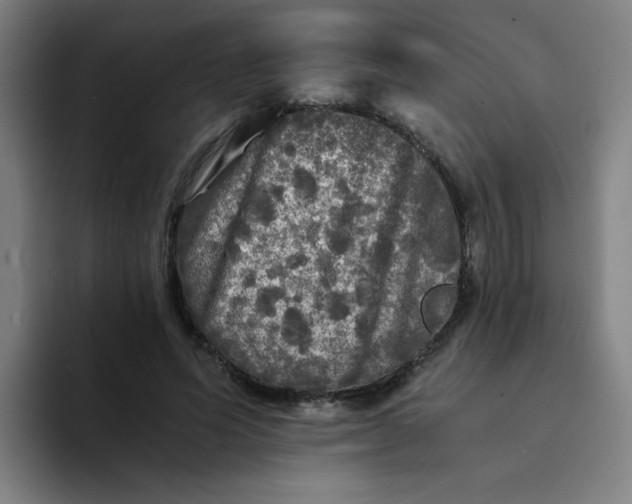 X0000094220591200711161850