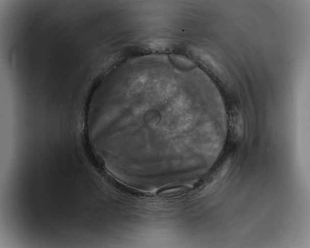 X0000094220593200711161850