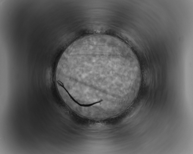 X0000094220594200711161850