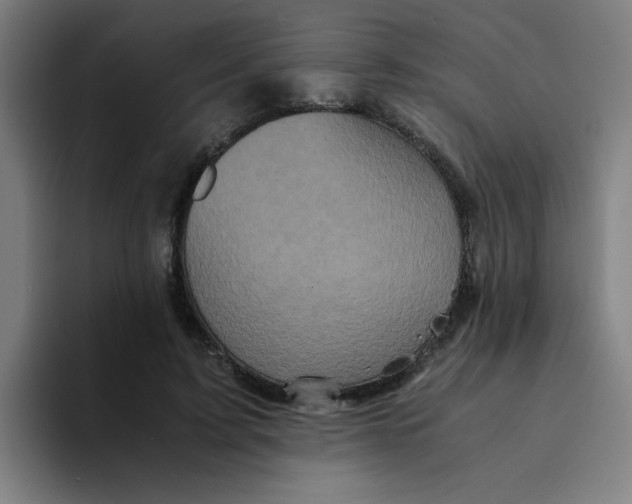 X0000094220595200711161850