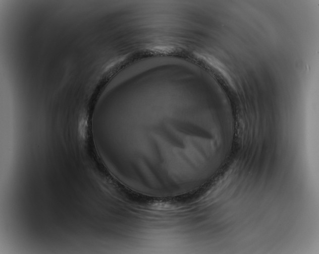 X0000094220596200711161850