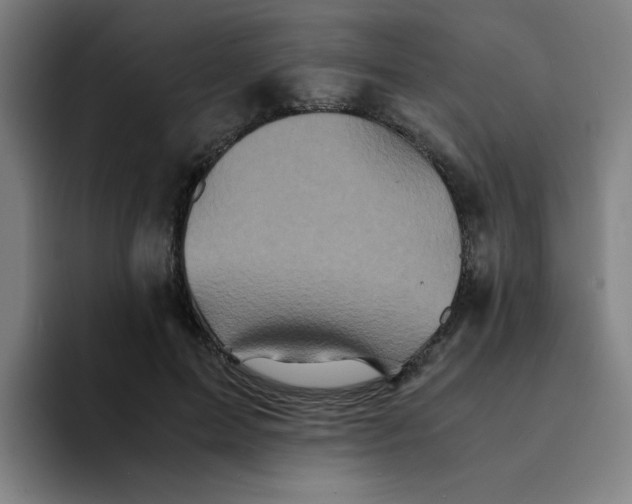 X0000094220599200711161850