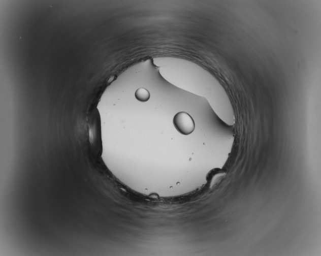 X0000094220601200711161850