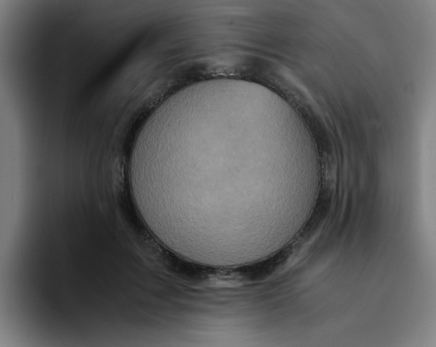 X0000094220603200711161850