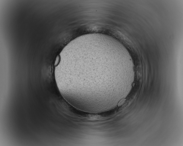 X0000094220605200711161850