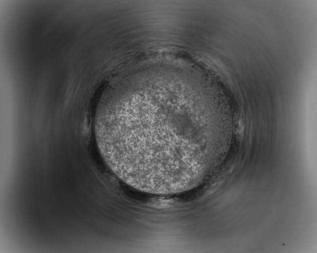 X0000094220607200711161850