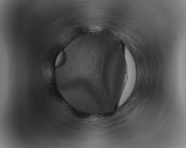 X0000094220608200711161850