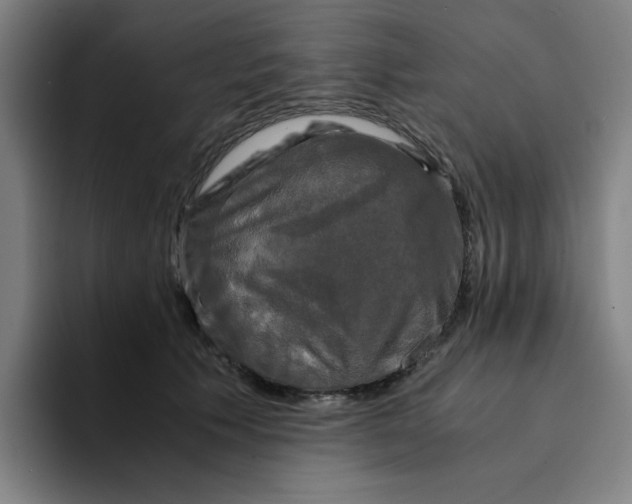 X0000094220609200711161850