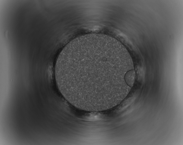 X0000094220612200711161850