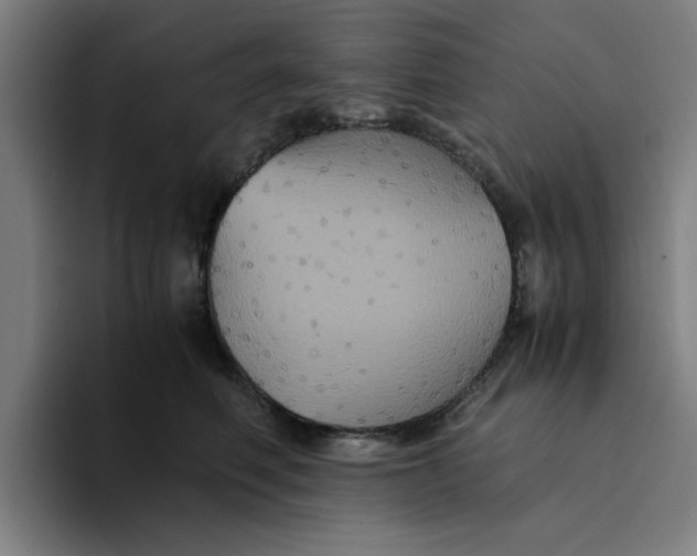 X0000094220614200711161850