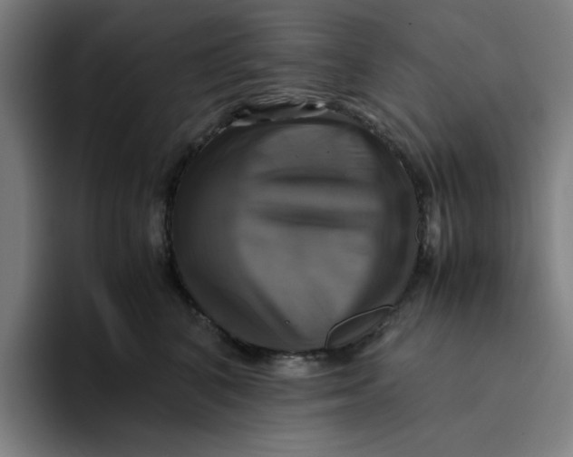 X0000094220616200711161850