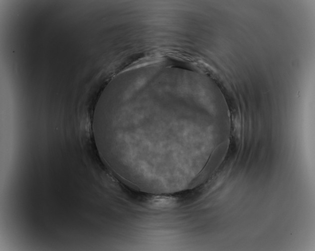 X0000094220617200711161850