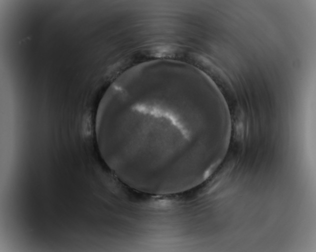 X0000094220620200711161850