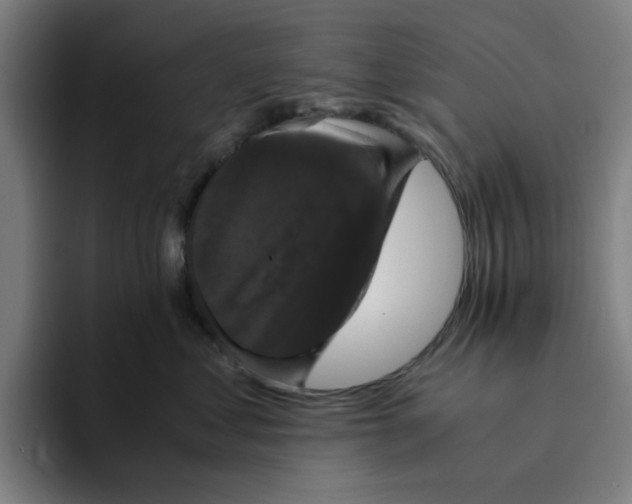 X0000094220621200711161850