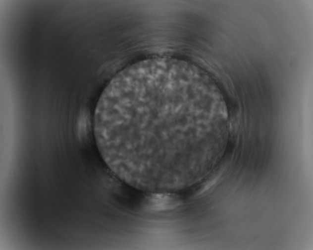 X0000094220623200711161850