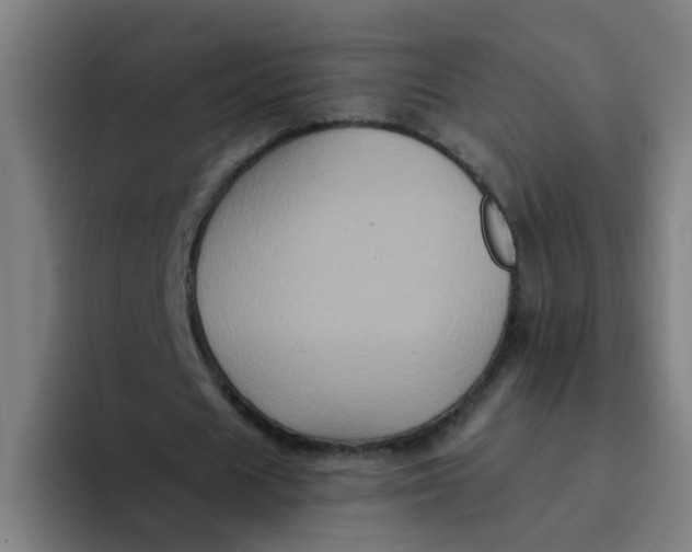 X0000094220625200711161849