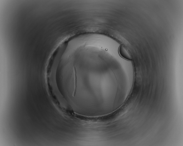 X0000094220626200711161849