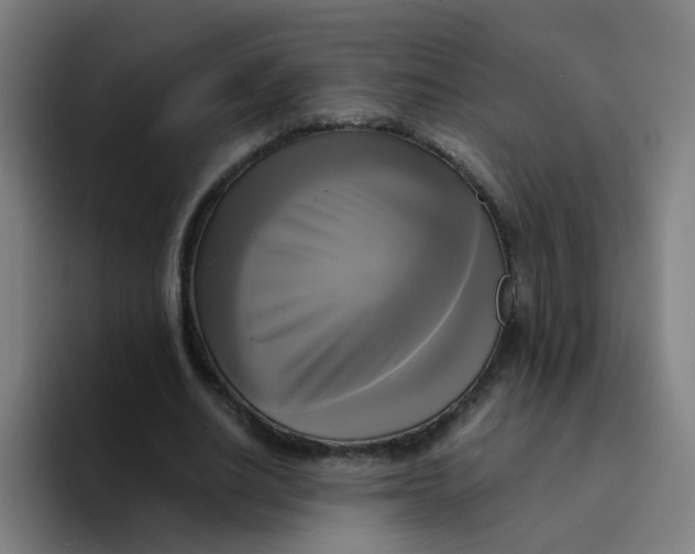 X0000094220630200711161849