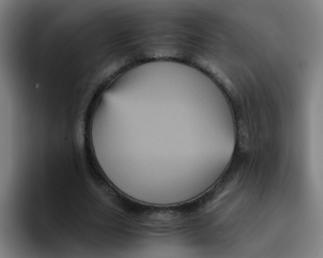 X0000094220631200711161849