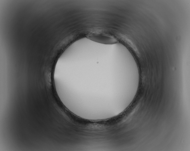 X0000094220633200711161849