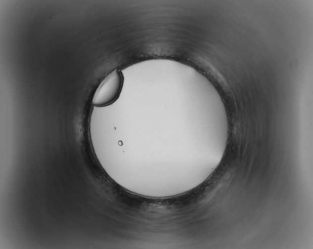 X0000094220635200711161849