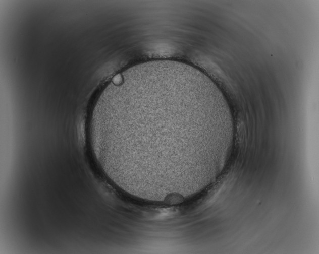 X0000094220638200711161849