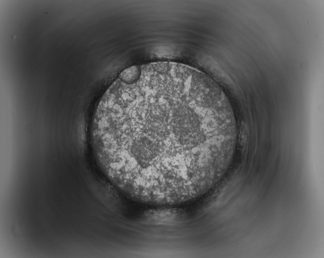 X0000094220639200711161849