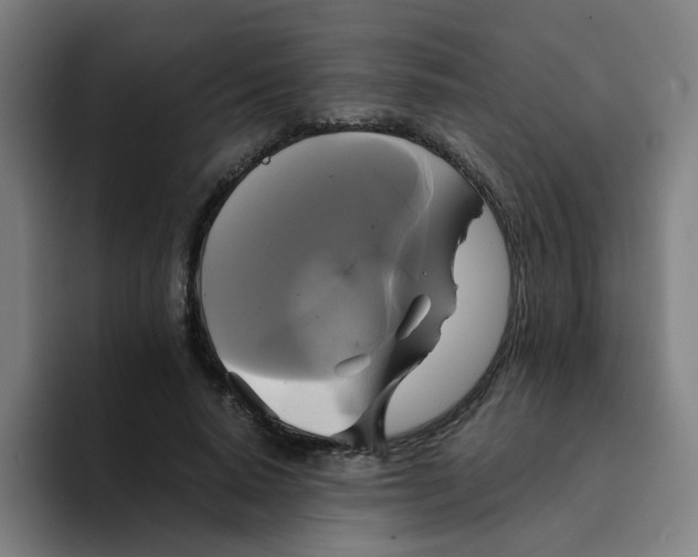 X0000094220640200711161849