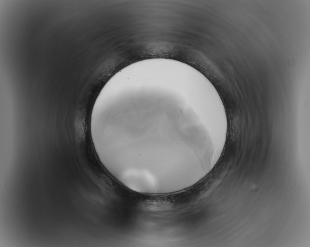 X0000094220644200711161850